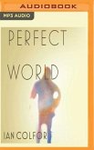 PERFECT WORLD M