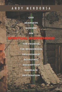 Spiritual Widowhood - Mendonsa, Andy