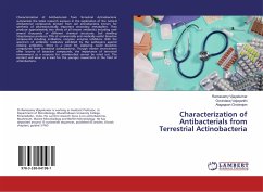 Characterization of Antibacterials from Terrestrial Actinobacteria - Vijayakumar, Ramasamy;Vaijayanthi, Govindaraj;Cholarajan, Alagappan