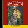 Fire Dog Bailey's Kid's Fire Safety Book - Bild 1