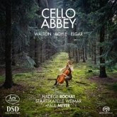 Cello Abbey-Werke Für Cello Und Orchester