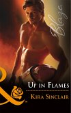 Up In Flames (eBook, ePUB)