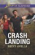Crash Landing (eBook, ePUB) - Bild 1