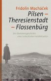 Pilsen -Theresienstadt - Flossenbürg (eBook, PDF)
