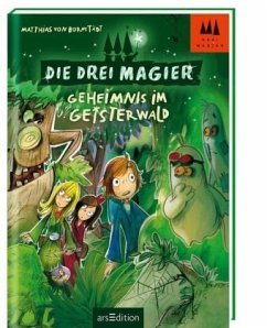 Geheimnis im Geisterwald / Die drei Magier Bd.2 - Bornstädt, Matthias von