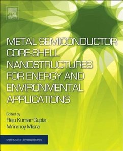 Metal Semiconductor Core-Shell Nanostructures for Energy and Environmental Applications