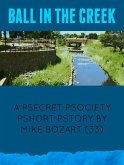 Ball in the Creek (eBook, ePUB)