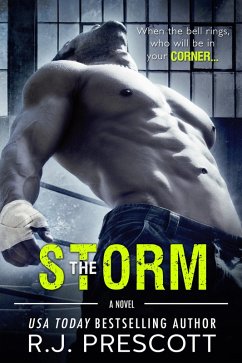 Cover The Storm (eBook, ePUB)