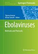 Ebolaviruses - Bild 1