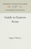 Guide to Eastern Ferns