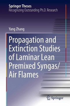 Propagation and Extinction Studies of Laminar Lean Premixed Syngas/Air Flames - Zhang, Yang