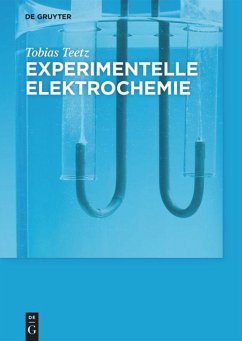 Experimentelle Elektrochemie - Teetz, Tobias