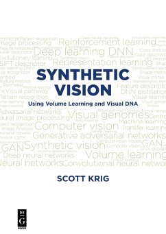 Synthetic Vision - Krig, Scott