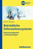 Betriebliche Informationssysteme (eBook, PDF)