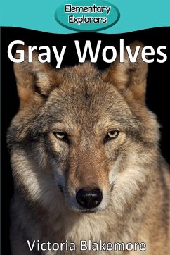 Gray Wolves - Blakemore, Victoria