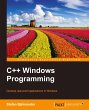 C ++ Windows Programming - Bild 1