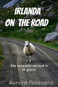 Cover Irlanda on the road (eBook, PDF)
