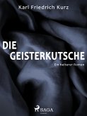 Die Geisterkutsche. Heiterer Roman (eBook, ePUB)