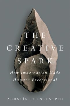 The Creative Spark (eBook, ePUB) - Fuentes, Agustín