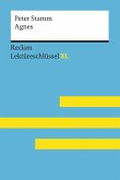 Agnes von Peter Stamm: Reclam Lektüreschlüssel XL (eBook, ePUB)