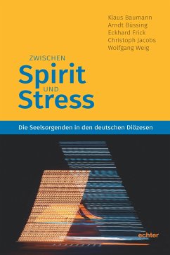 Zwischen Spirit und Stress (eBook, PDF) - Baumann, Klaus; Büssing, Arndt; Frick, Eckhard; Jacobs, Christoph; Weig, Wolfgang