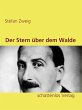 Der Stern über dem Walde (eBook, ePUB) - Bild 1