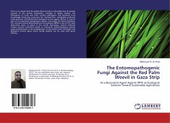 The Entomopathogenic Fungi Against the Red Palm Weevil in Gaza Strip - El Hindi, Mahmoud W.