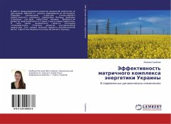 Jeffektiwnost' matrichnogo komplexa änergetiki Ukrainy - Sribnaya, Evgeniya