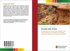 Erosão dos Solos - Dummer, Juliana;Verdum, Roberto