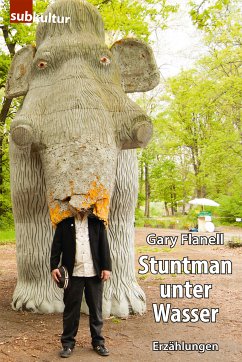 Stuntman unter Wasser (eBook, ePUB) - Flanell, Gary