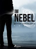 Im Nebel (eBook, ePUB)