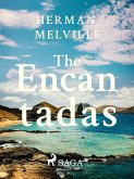 The Encantadas (eBook, ePUB)
