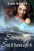 Stormy Surrender (eBook, ePUB)