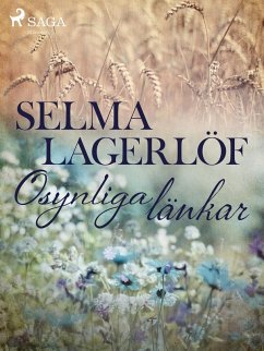 Cover Osynliga länkar (eBook, ePUB)