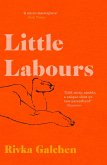 Little Labours (eBook, ePUB)