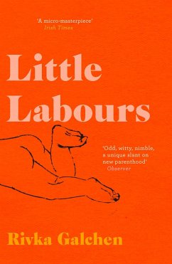 Little Labours (eBook, ePUB) - Galchen, Rivka