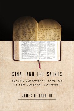 Sinai and the Saints (eBook, ePUB) - Todd III, James M.