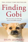 Finding Gobi (Main Edition) (eBook, ePUB)