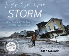 Eye of the Storm (eBook, ePUB) - Cherrix, Amy
