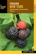 Foraging New York (eBook, ePUB) - Bild 1