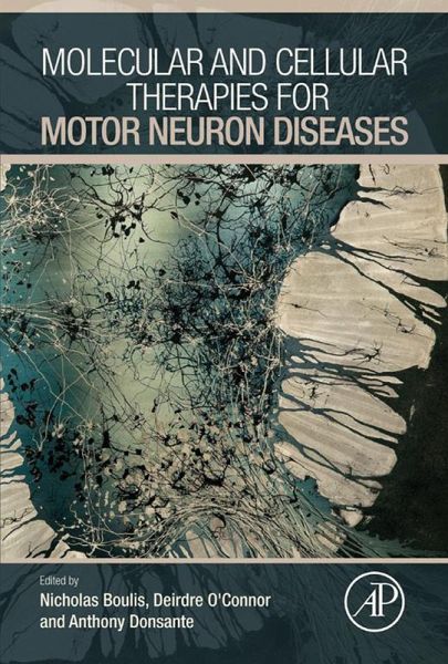 Molecular and Cellular Therapies for Motor Neuron Diseases (eBook, ePUB)