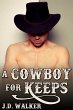 Cowboy for Keeps (eBook, ePUB) - Bild 1