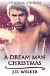 Dream Man Christmas (eBook, ePUB) - Bild 1
