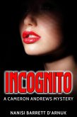 Incognito (eBook, ePUB)