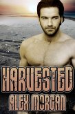 Harvested (eBook, ePUB)