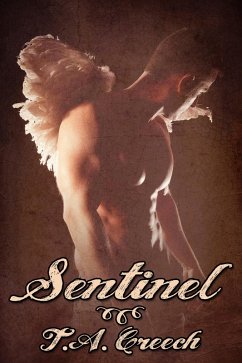 Cover Sentinel (eBook, ePUB)