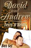 David and Andrew Box Set (eBook, ePUB)