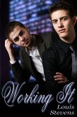 Working It (eBook, ePUB)