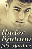 Under Kintano (eBook, ePUB)