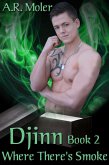 Djinn Book 2: Where There's Smoke (eBook, ePUB)